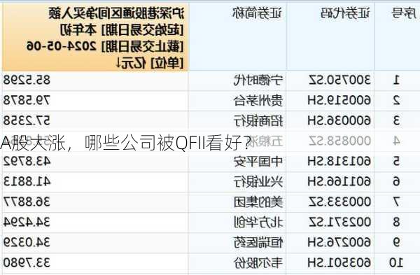 A股大涨，哪些公司被QFII看好？