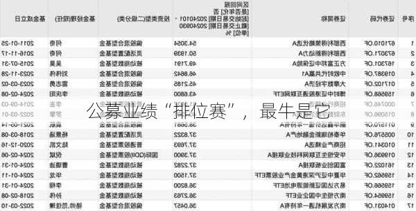 公募业绩“排位赛”，最牛是它