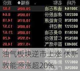 油气板块逆市上涨 休斯敦能源涨超20%