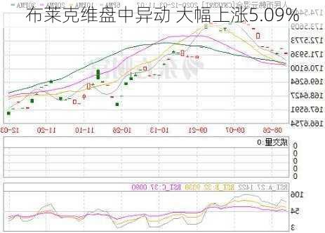 布莱克维盘中异动 大幅上涨5.09%