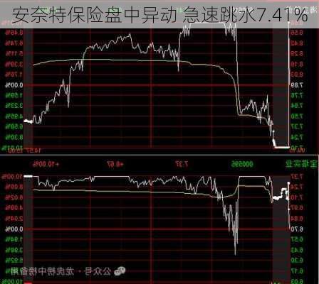 安奈特保险盘中异动 急速跳水7.41%