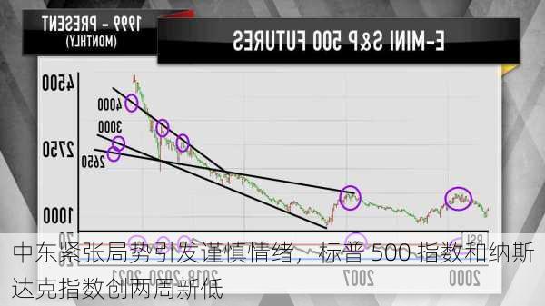 中东紧张局势引发谨慎情绪，标普 500 指数和纳斯达克指数创两周新低