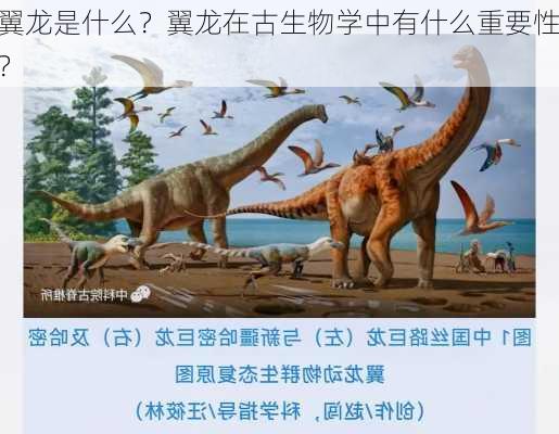 翼龙是什么？翼龙在古生物学中有什么重要性？