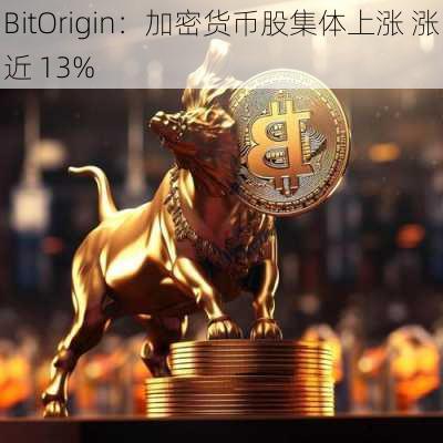 BitOrigin：加密货币股集体上涨 涨近 13%