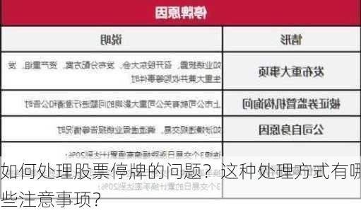 如何处理股票停牌的问题？这种处理方式有哪些注意事项？