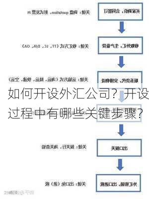 如何开设外汇公司？开设过程中有哪些关键步骤？