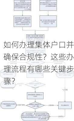 如何办理集体户口并确保合规性？这些办理流程有哪些关键步骤？