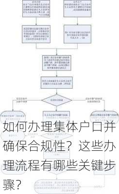 如何办理集体户口并确保合规性？这些办理流程有哪些关键步骤？