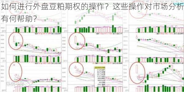 如何进行外盘豆粕期权的操作？这些操作对市场分析有何帮助？