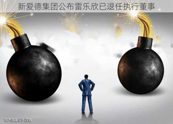 新爱德集团公布雷乐欣已退任执行董事