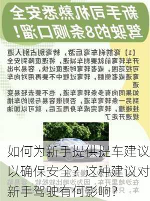 如何为新手提供提车建议以确保安全？这种建议对新手驾驶有何影响？