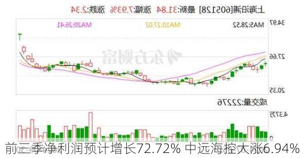 前三季净利润预计增长72.72% 中远海控大涨6.94%