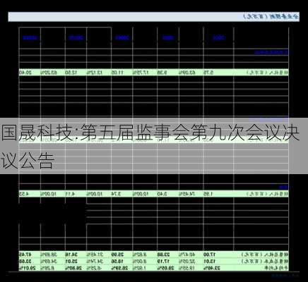 国晟科技:第五届监事会第九次会议决议公告