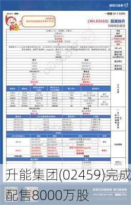 升能集团(02459)完成配售8000万股