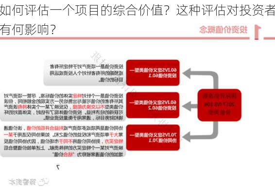 如何评估一个项目的综合价值？这种评估对投资者有何影响？