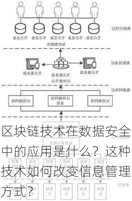 区块链技术在数据安全中的应用是什么？这种技术如何改变信息管理方式？