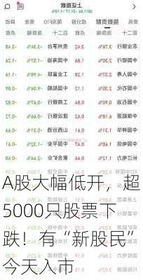 A股大幅低开，超5000只股票下跌！有“新股民”今天入市