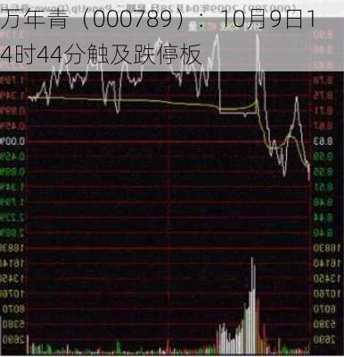 万年青（000789）：10月9日14时44分触及跌停板