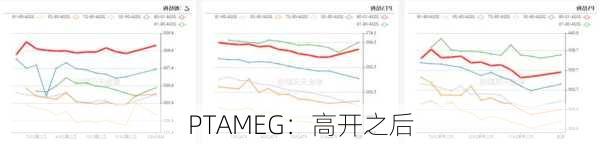 PTAMEG：高开之后