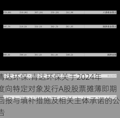 青达环保:青达环保关于2024年度向特定对象发行A股股票摊薄即期回报与填补措施及相关主体承诺的公告