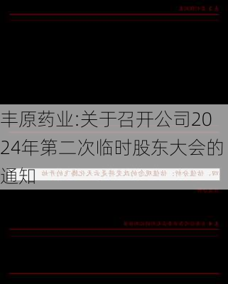 丰原药业:关于召开公司2024年第二次临时股东大会的通知