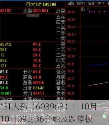 *ST大药（603963）：10月10日09时36分触及跌停板