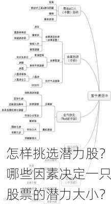 怎样挑选潜力股？哪些因素决定一只股票的潜力大小？