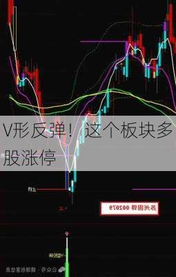 V形反弹！这个板块多股涨停