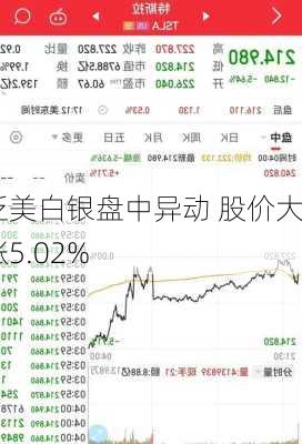 泛美白银盘中异动 股价大涨5.02%