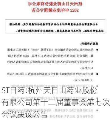 ST目药:杭州天目山药业股份有限公司第十二届董事会第七次会议决议公告