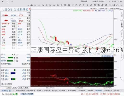 正康国际盘中异动 股价大涨6.36%