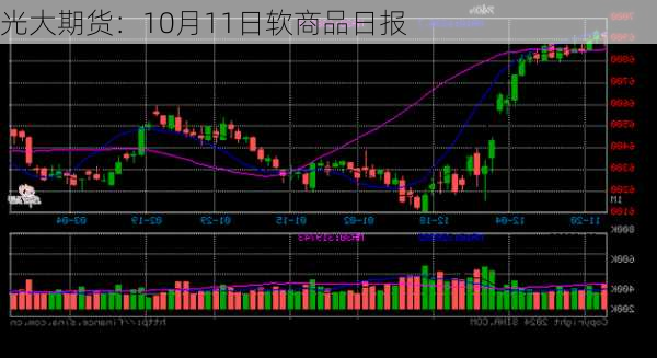 光大期货：10月11日软商品日报