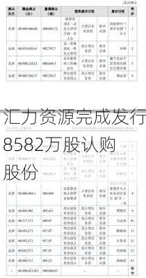 汇力资源完成发行8582万股认购股份