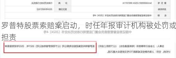 罗普特股票索赔案启动，时任年报审计机构被处罚或担责