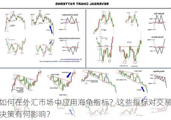 如何在外汇市场中应用海龟指标？这些指标对交易决策有何影响？