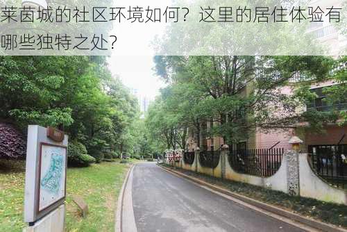 莱茵城的社区环境如何？这里的居住体验有哪些独特之处？