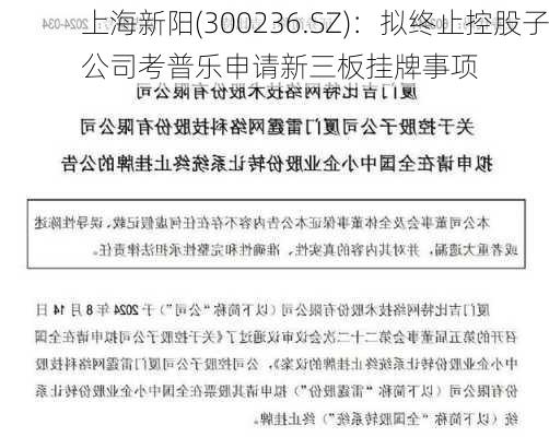 上海新阳(300236.SZ)：拟终止控股子公司考普乐申请新三板挂牌事项