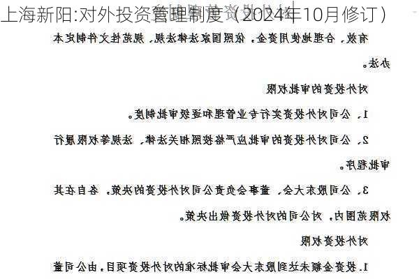 上海新阳:对外投资管理制度（2024年10月修订）