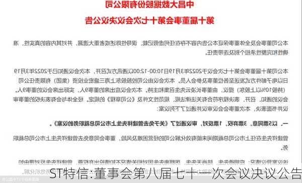 ST特信:董事会第八届七十一次会议决议公告