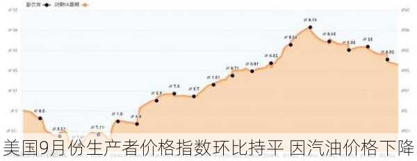 美国9月份生产者价格指数环比持平 因汽油价格下降