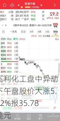 瓦利化工盘中异动 下午盘股价大涨5.92%报35.78美元