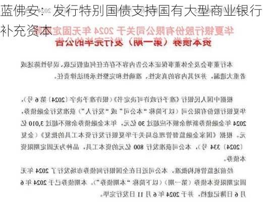 蓝佛安：发行特别国债支持国有大型商业银行补充资本