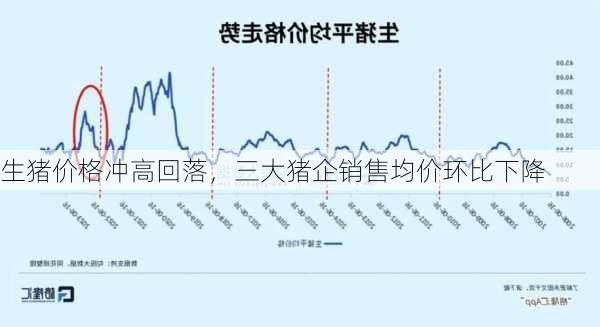 生猪价格冲高回落，三大猪企销售均价环比下降