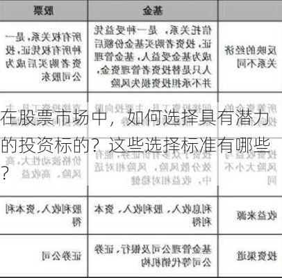 在股票市场中，如何选择具有潜力的投资标的？这些选择标准有哪些？