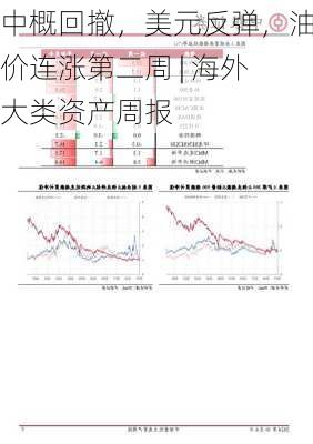 中概回撤，美元反弹，油价连涨第二周 | 海外大类资产周报