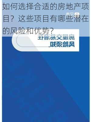 如何选择合适的房地产项目？这些项目有哪些潜在的风险和优势？