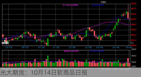 光大期货：10月14日软商品日报