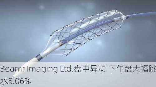 Beamr Imaging Ltd.盘中异动 下午盘大幅跳水5.06%