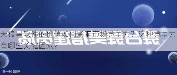 天狼星软件的价值如何影响市场竞争力？这种竞争力有哪些关键因素？