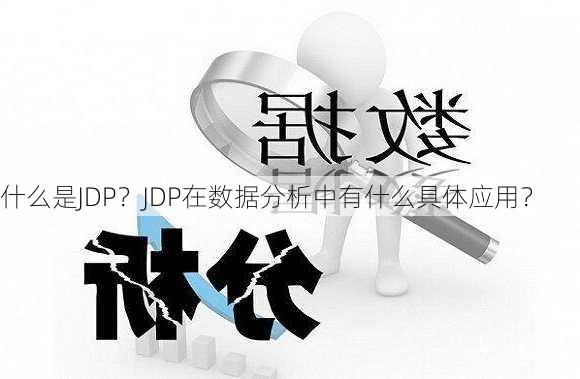 什么是JDP？JDP在数据分析中有什么具体应用？